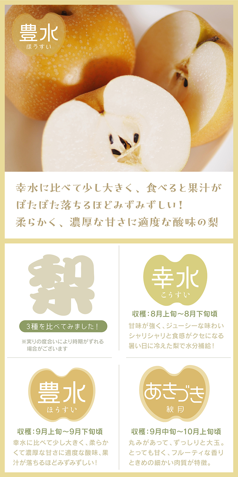 豊水 梨ギフト 5kg 千葉県白井産