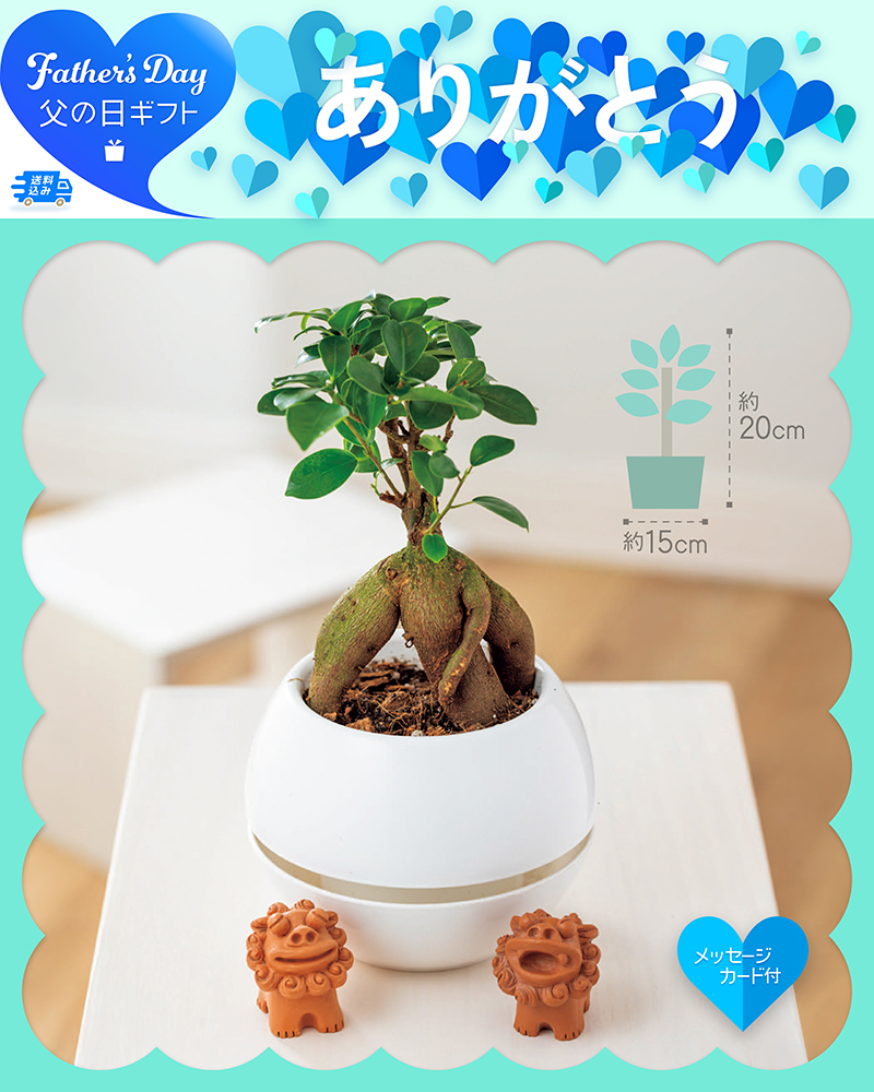 父の日 ガジュマル シーサー