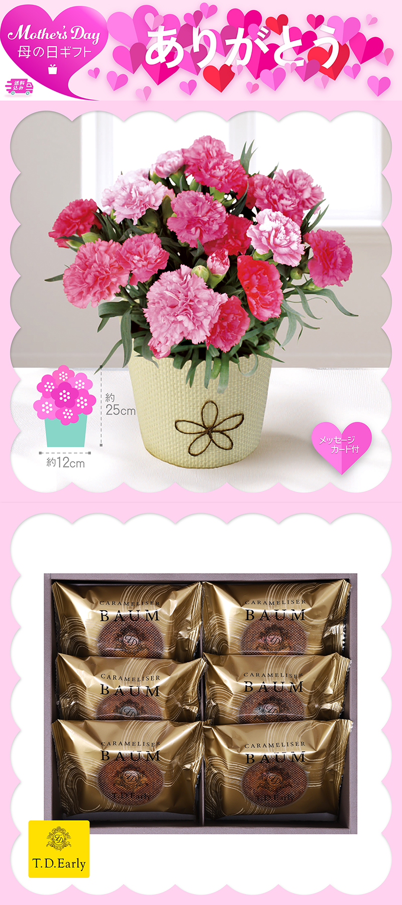 母の日 カーネーション〈ホットハート〉とT.D.Early キャラメリゼバウム