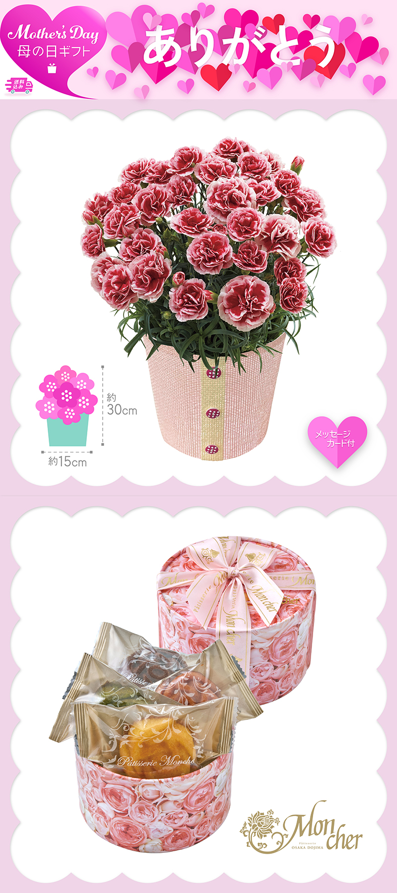 母の日 カーネーション〈いちごホイップ〉と「パティスリー モンシェール」エタニティーローズ
