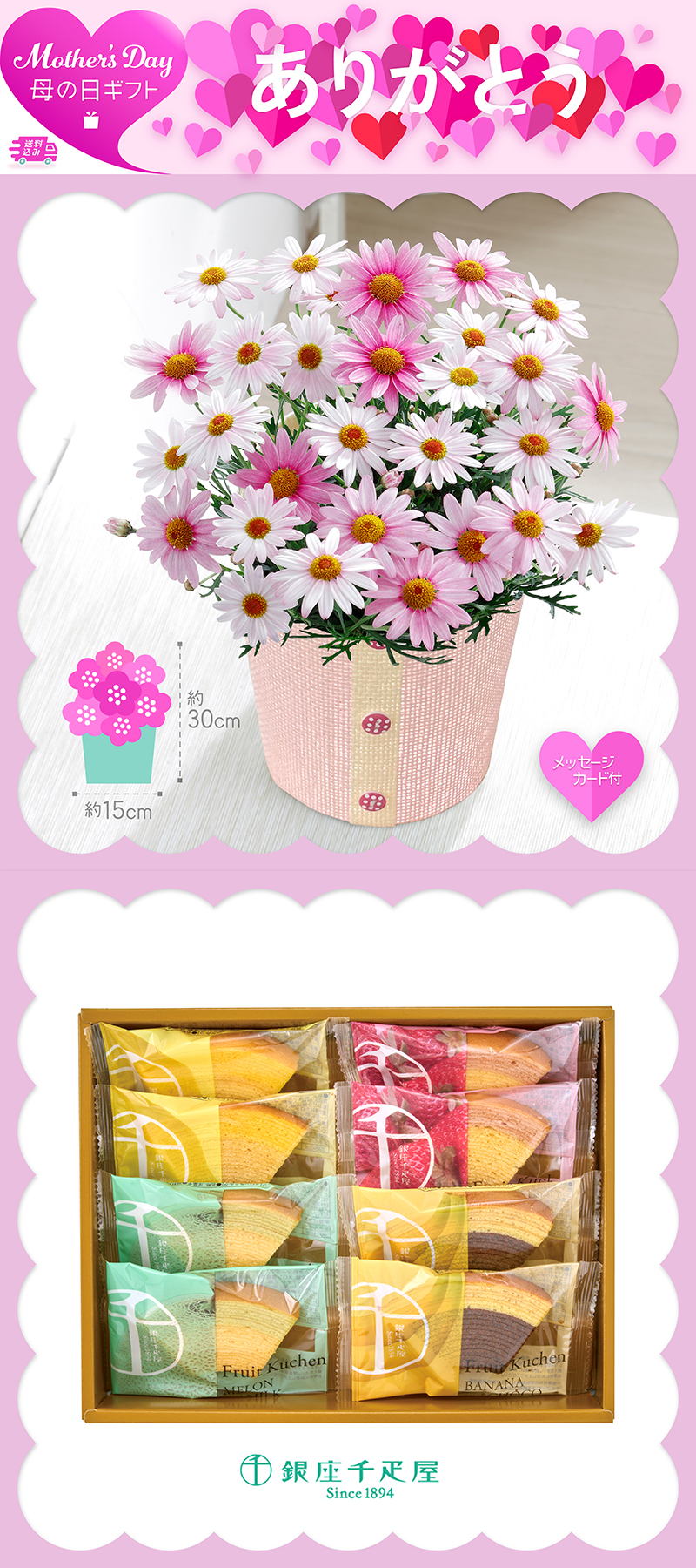 母の日 マーガレット〈さくらべーる〉と「銀座千疋屋」銀座フルーツクーヘン