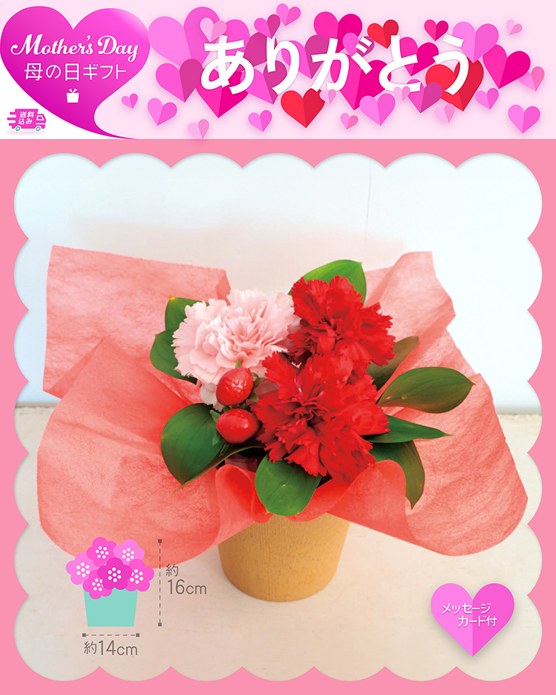 母の日 アレンジメント イチゴミルク