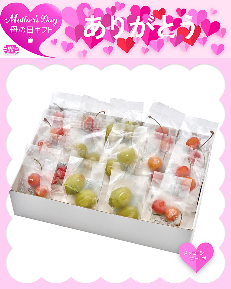 母の日 山形県産 冷凍さくらんぼ〈佐藤錦〉＆冷凍シャインマスカット