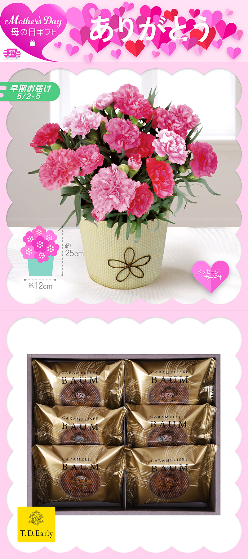 早期お届け 母の日 カーネーション〈ホットハート〉とT.D.Early キャラメリゼバウム