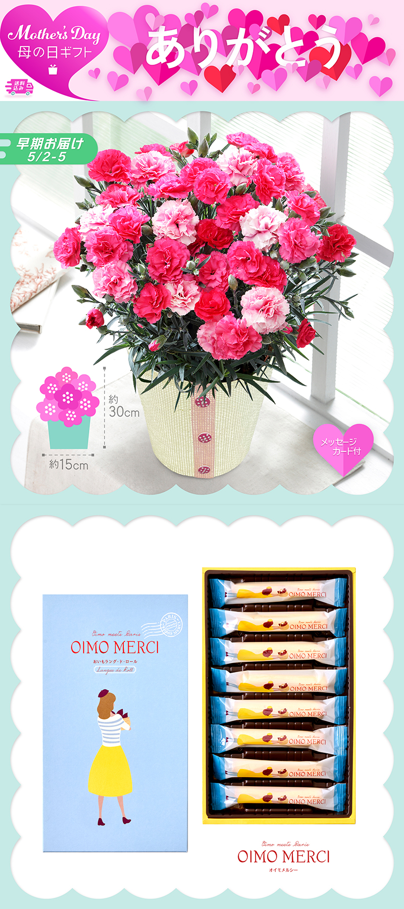 早期お届け 母の日  カーネーション〈さくらもなか〉とOIMO MERCI ラングドロール