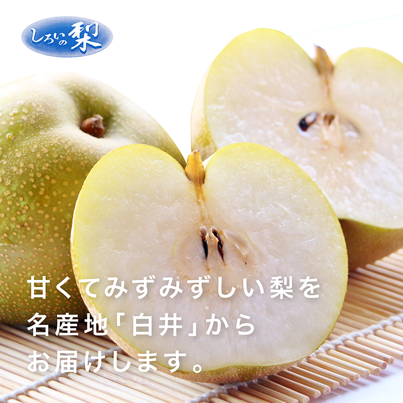 幸水梨ギフト 5kg 千葉県白井産