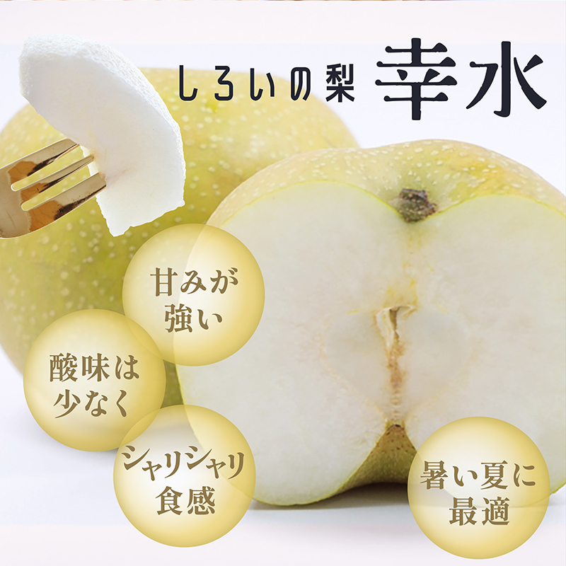 幸水梨ギフト 5kg 千葉県白井産