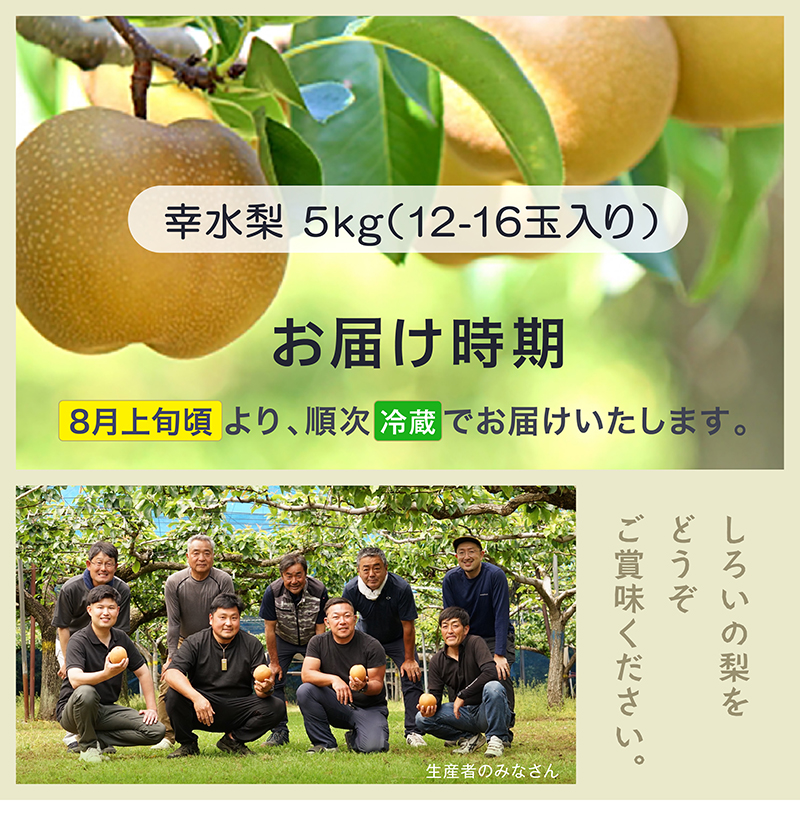 幸水梨ギフト 5kg 千葉県白井産
