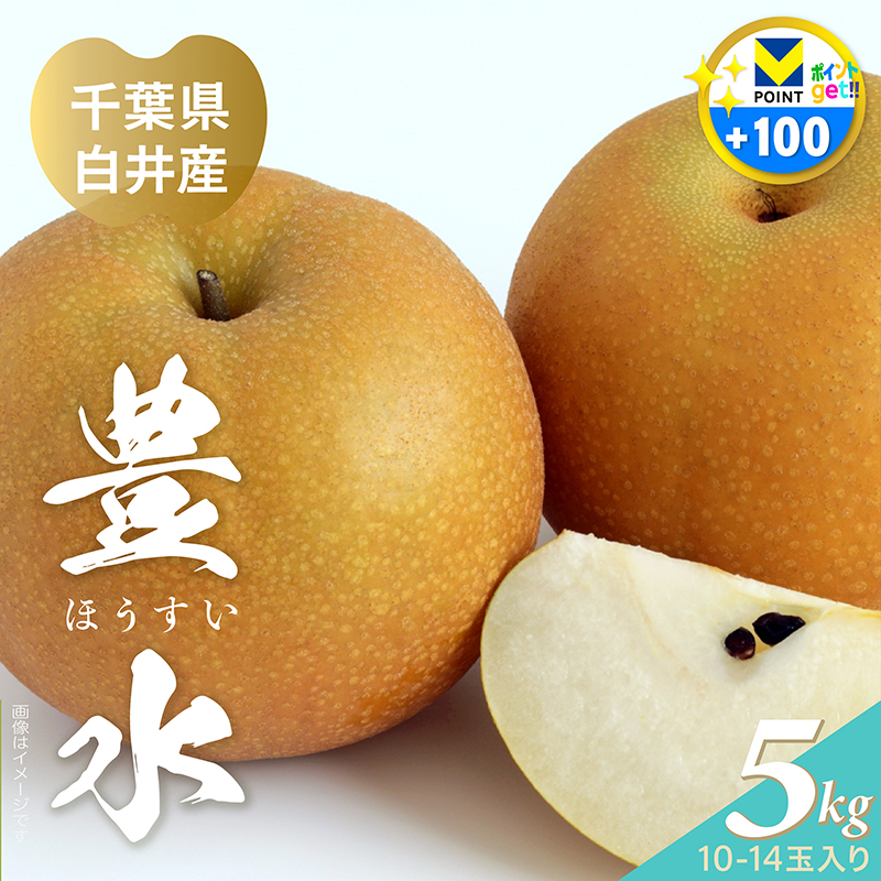 豊水梨ギフト 5kg 千葉県白井産