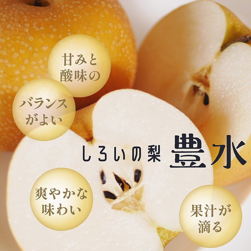 豊水梨ギフト 5kg 千葉県白井産