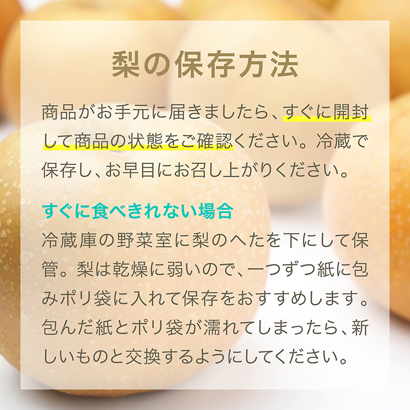 豊水梨ギフト 5kg 千葉県白井産