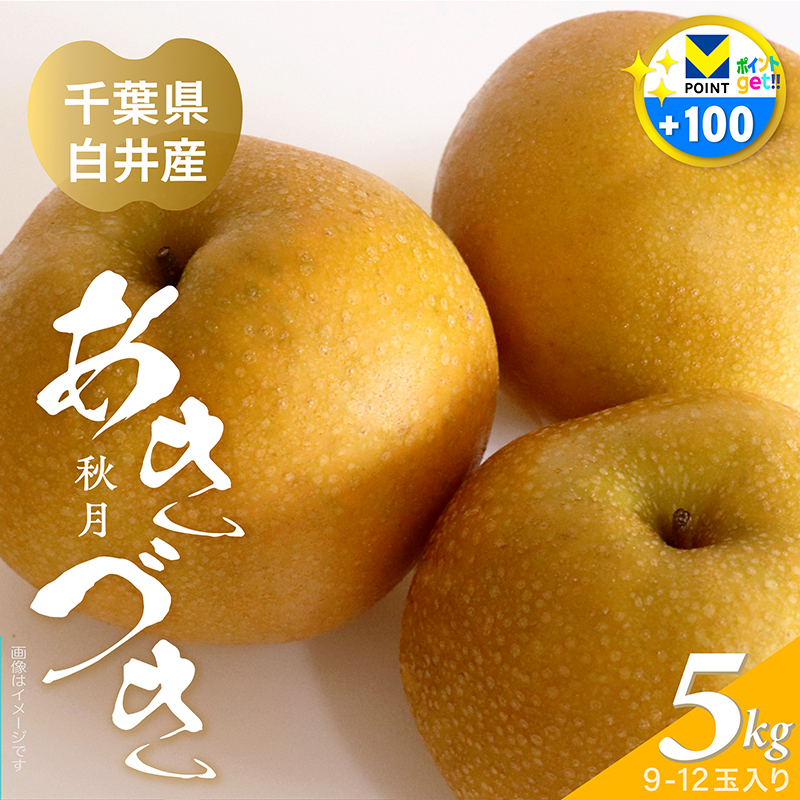 あきづき梨ギフト 5kg 千葉県白井産