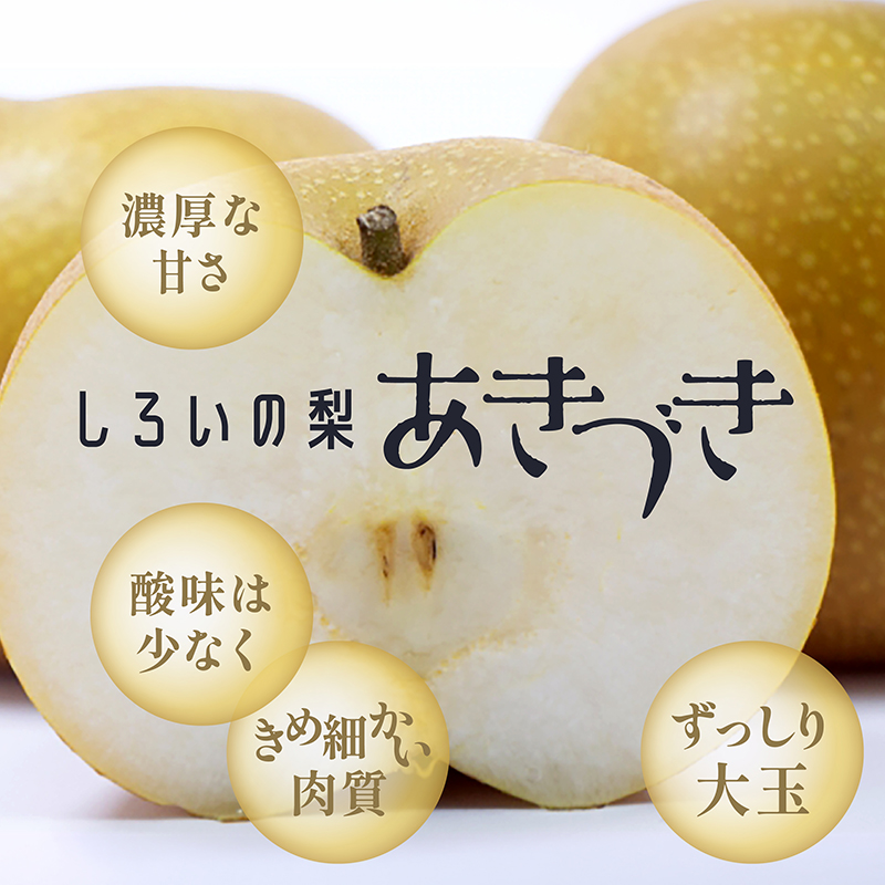 あきづき梨ギフト 5kg 千葉県白井産
