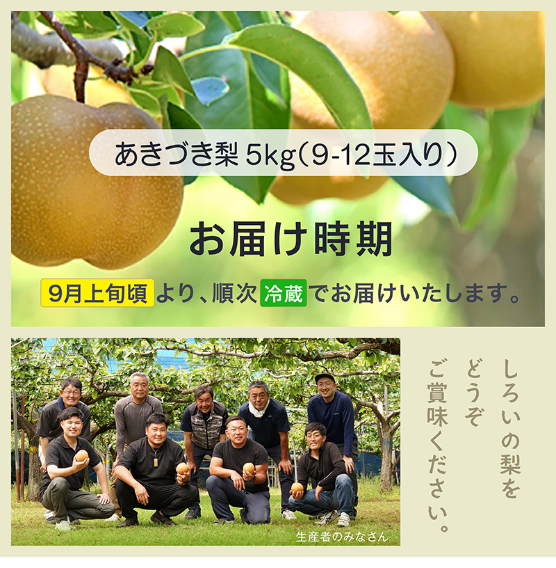 あきづき梨ギフト 5kg 千葉県白井産