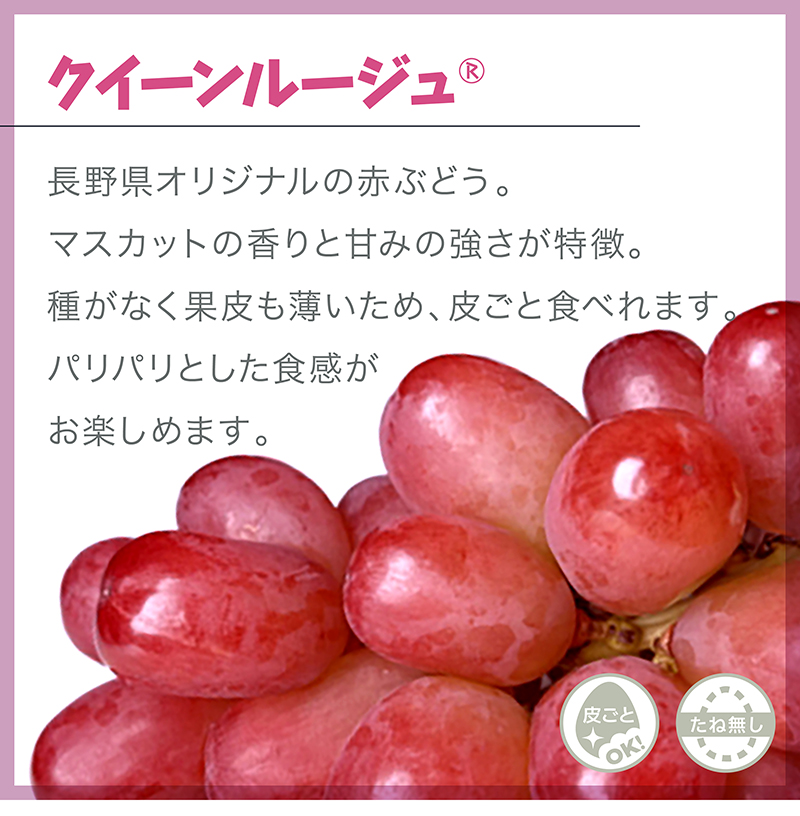 クイーンルージュ 1房 ぶどうギフト 化粧箱入 長野県産 