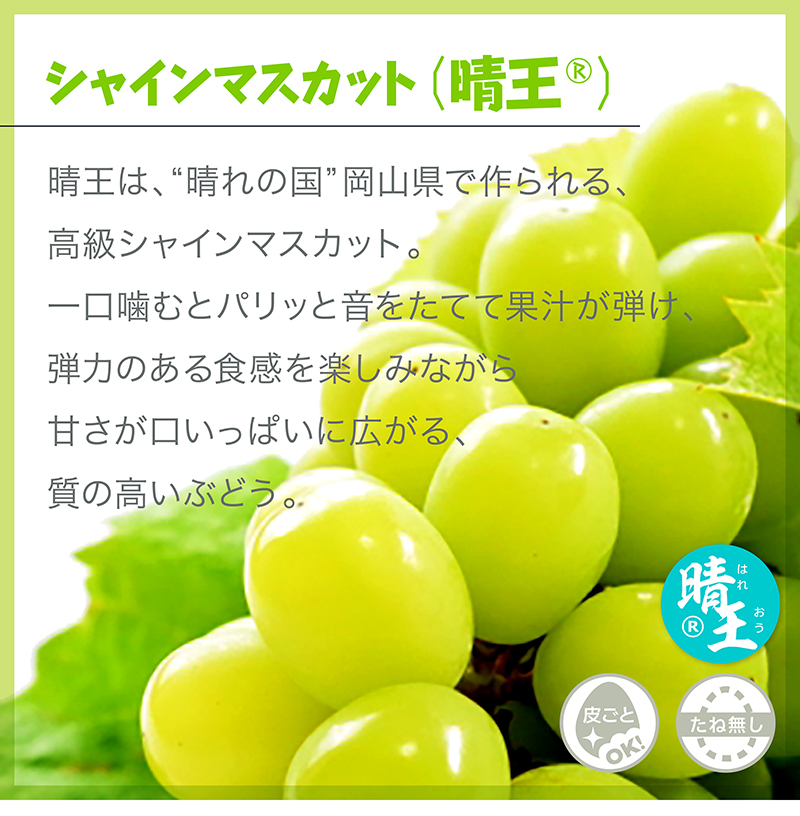 シャインマスカット〈晴王〉1房 ぶどうギフト 化粧箱入 岡山県産