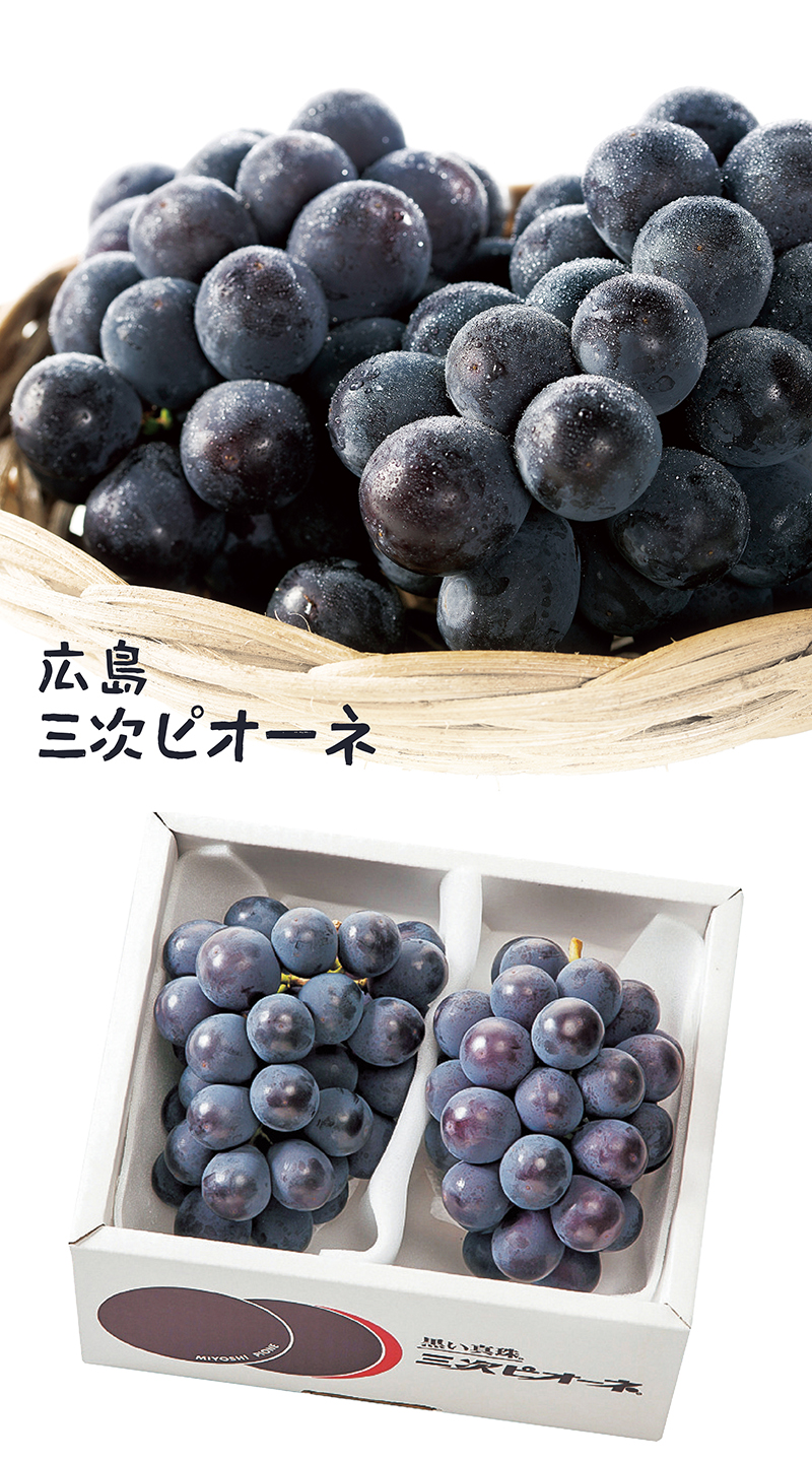 広島 三次ピオーネ