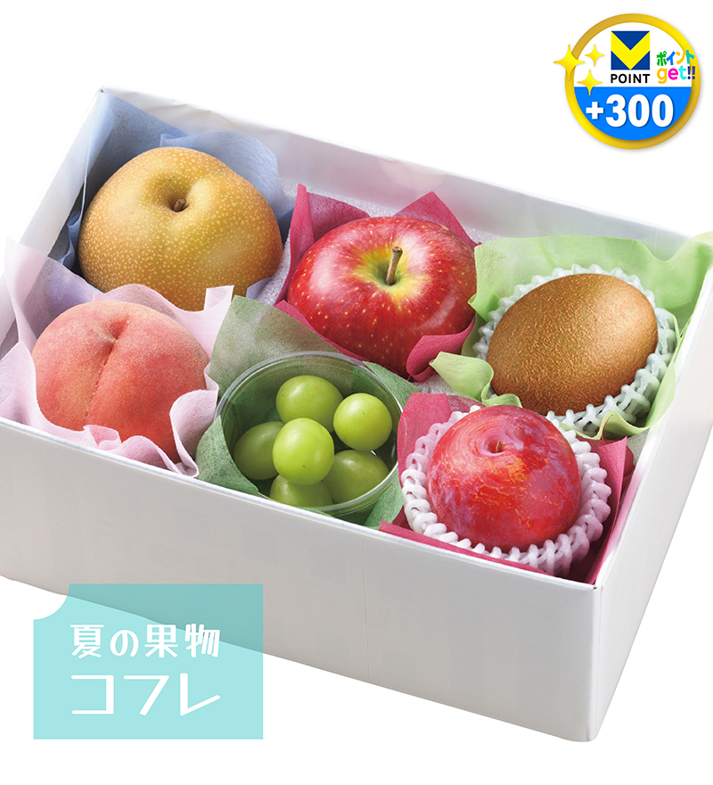 夏の果物 コフレ ［小］