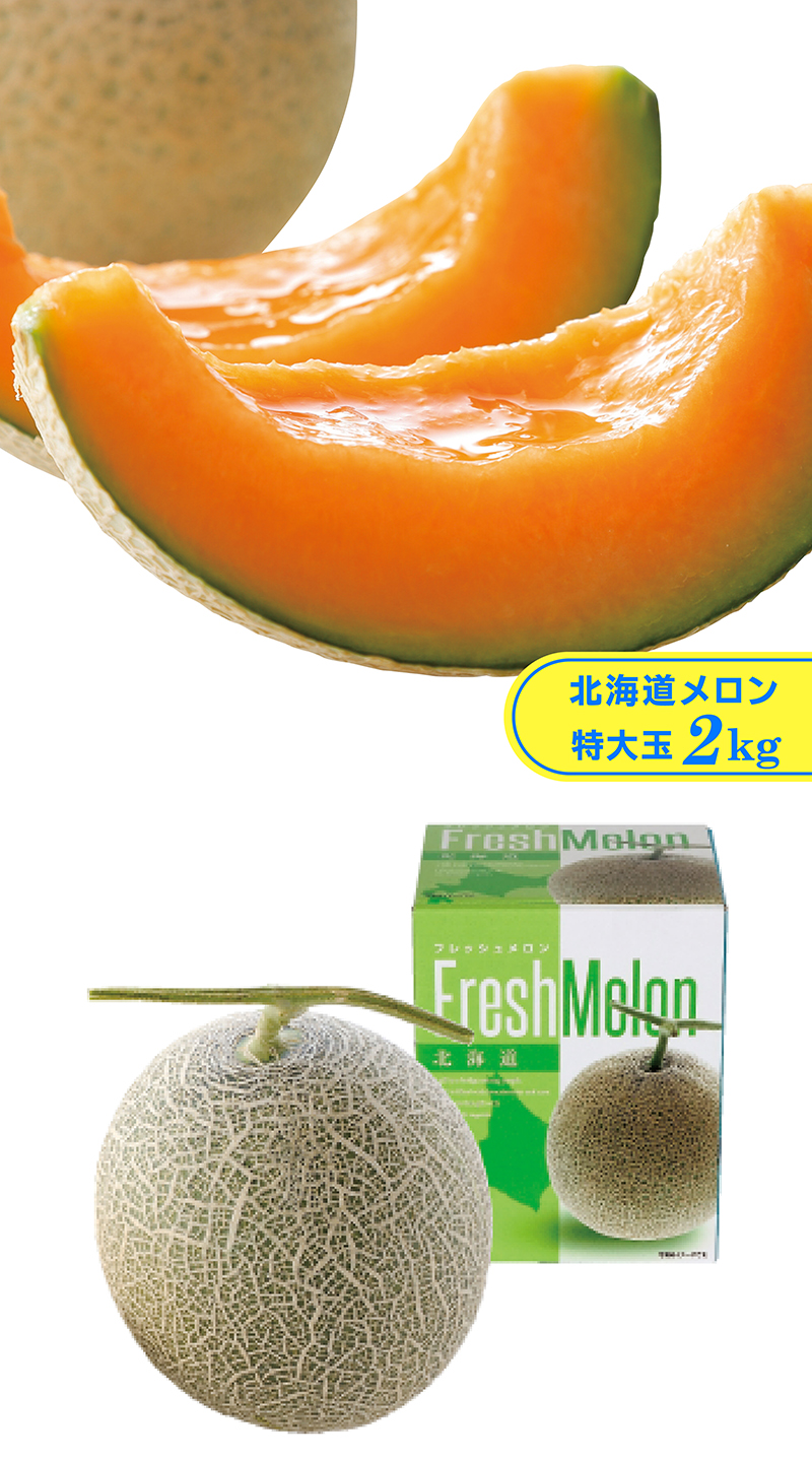 北海道メロン 特大玉