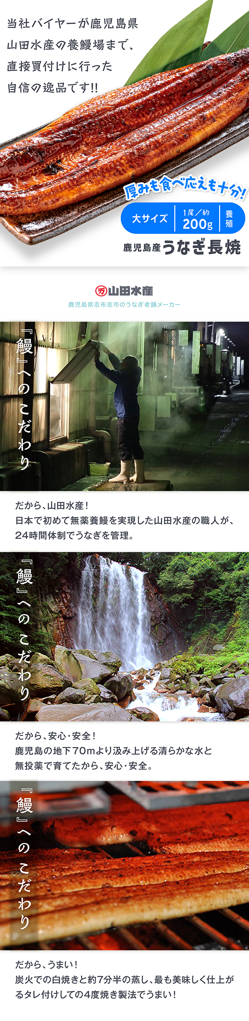 鹿児島産 うなぎ長焼 養殖 大 1尾 約200g