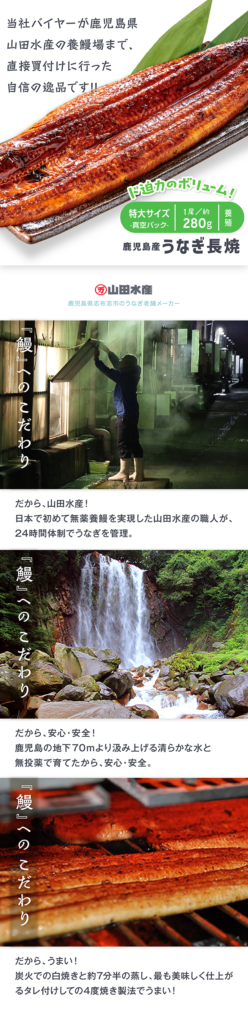 鹿児島産 うなぎ長焼き 養殖 特大 真空パック 1尾 約280g