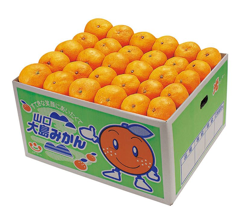 山口大島みかん 秀