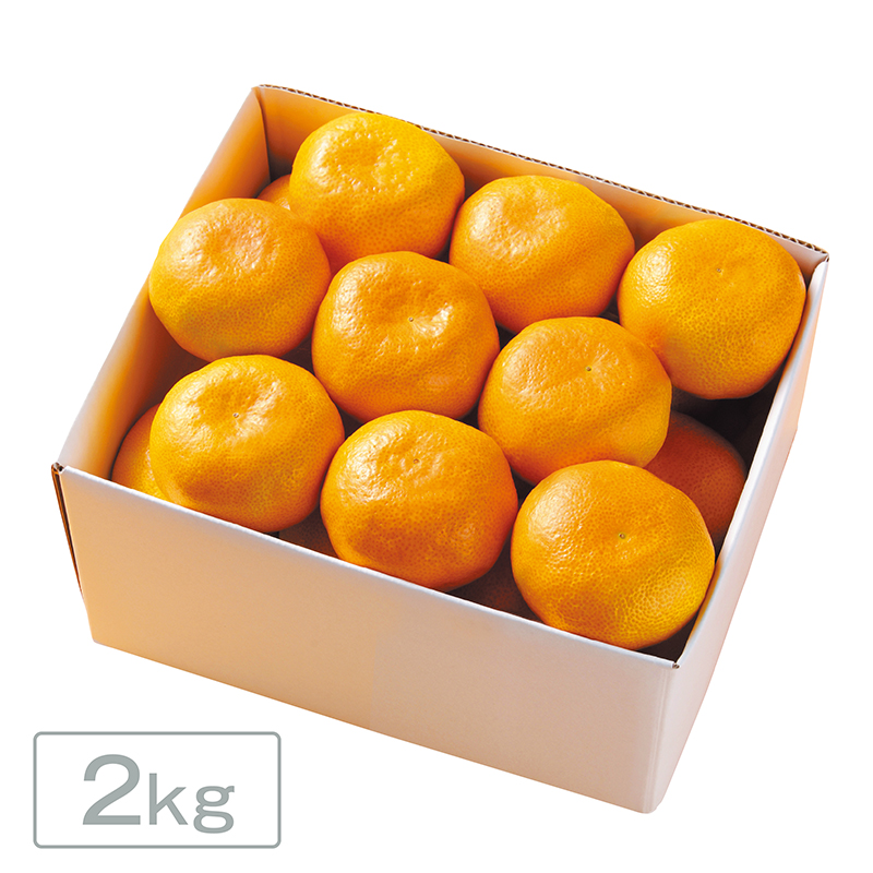 愛媛みかん ［2kg］