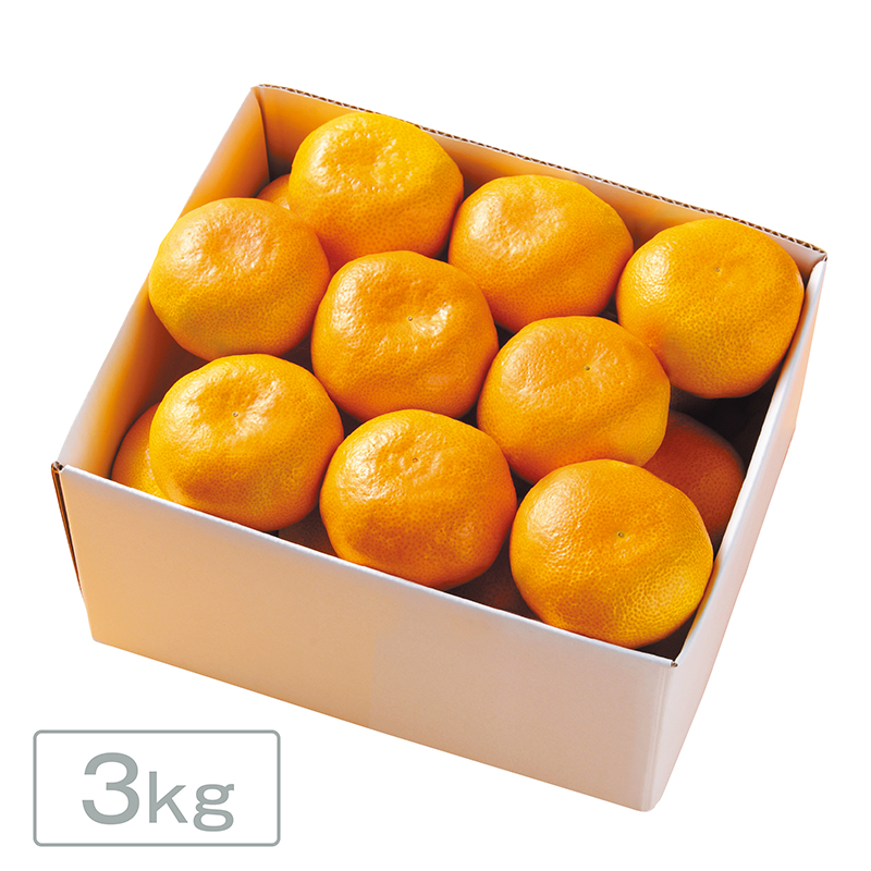 愛媛みかん  ［3kg］