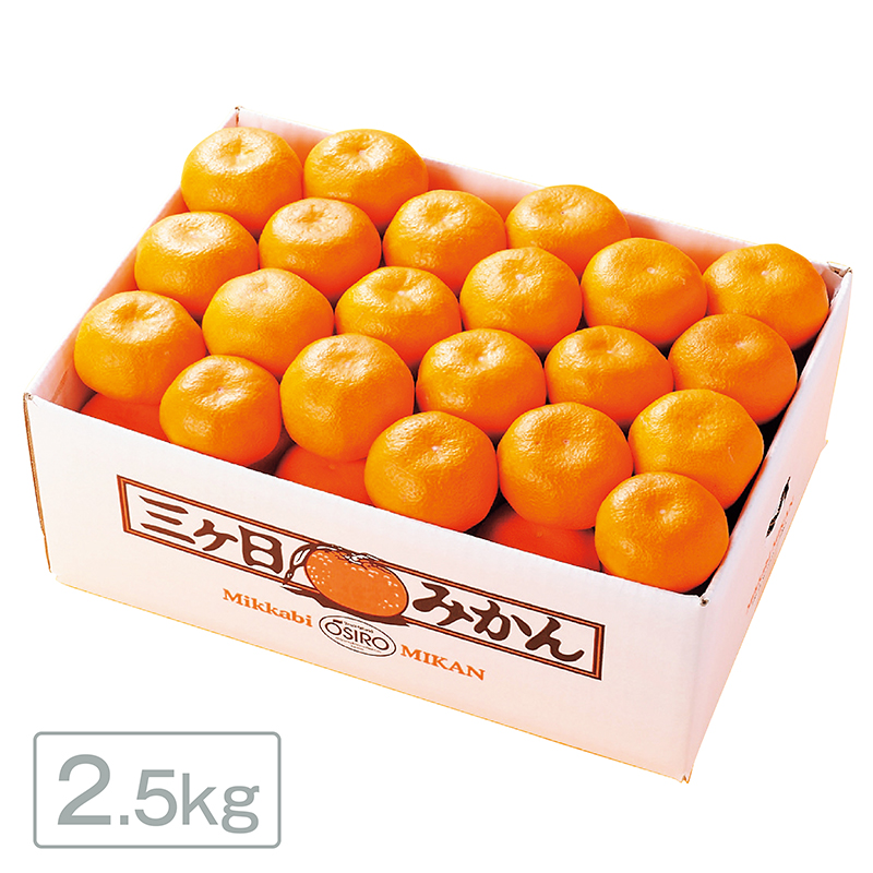 静岡県産 三ヶ日みかん ［2.5kg］
