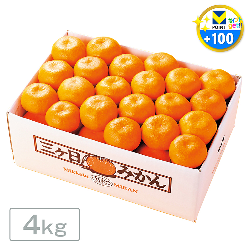 静岡県産 三ヶ日みかん ［4kg］