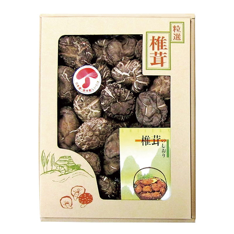 宮崎県産 どんこ椎茸