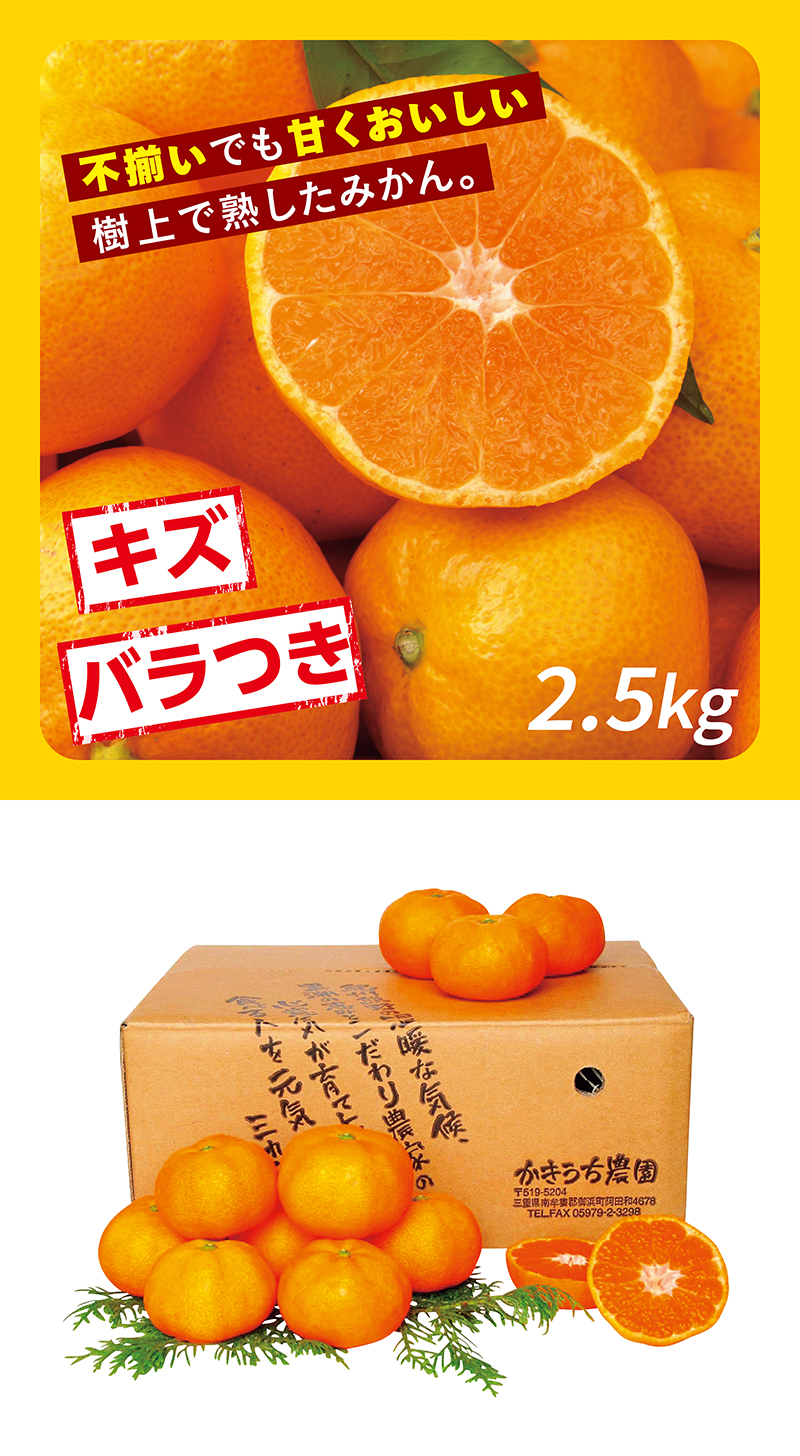 かきうち農園の木成り温州みかん 2.5kg
