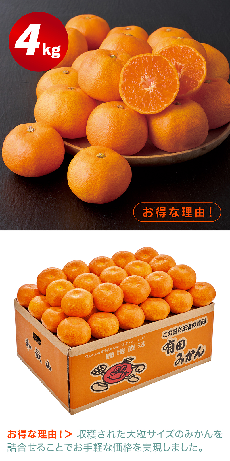 和歌山県産 有田みかん