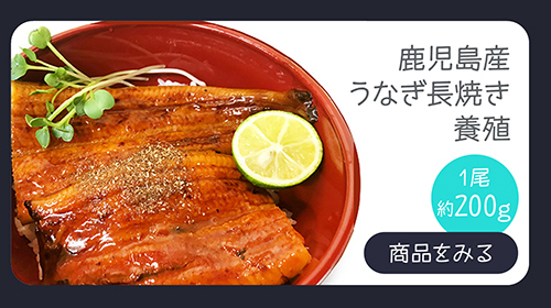 鹿児島産 うなぎ長焼き