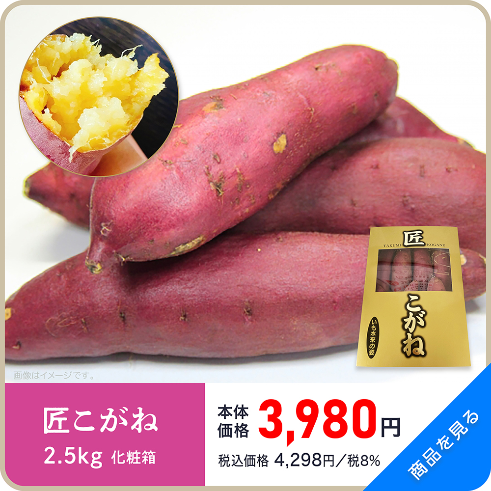 おすすめ09商品ページ